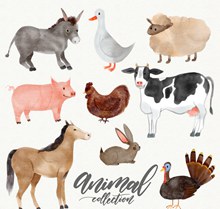 9款水彩绘农场动物矢量图片