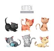 6款水彩绘猫咪设计矢量下载