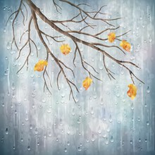 创意雨中的秋季树枝矢量素材