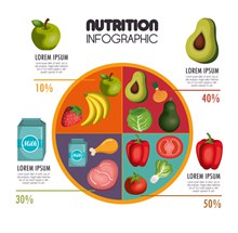 食物营养均衡图矢量图片