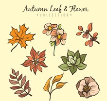 8款彩绘秋季花卉和叶子图矢量图片