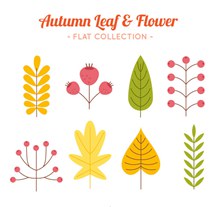 8款扁平化秋季树叶和花卉图矢量图片