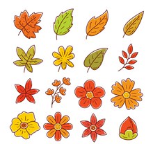16款彩绘叶子和花卉矢量下载
