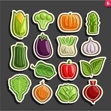 15款彩色蔬菜贴纸矢量下载