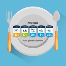 食物营养成分图表矢量