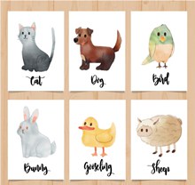 6款水彩绘动物卡片矢量图片