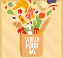 创意世界粮食日装满食物的购物袋图矢量下载