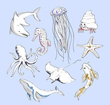 9款手绘海洋动物设计矢量图下载