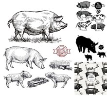 素描效果黑白家猪主题设计矢量图片