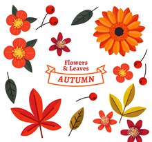 16款彩色秋季花卉和叶子图矢量图