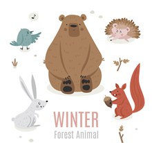 5款可爱冬季森林动物矢量图