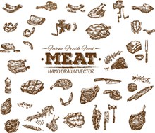 手绘肉类产品矢量图下载