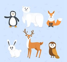 6款可爱野生动物设计矢量图片