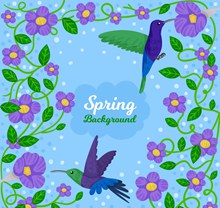 春季紫色花卉和蜂鸟矢量