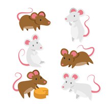 6款创意老鼠设计矢量图片