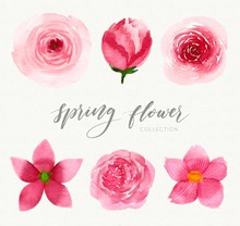 6款水彩绘春季粉色花卉图矢量素材