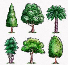 6款彩绘茂盛树木矢量下载