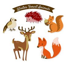 5款美丽森林动物矢量图下载