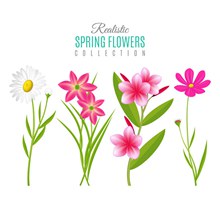 4款创意春季花卉矢量图片