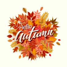彩色树叶你好秋季艺术字图矢量图片