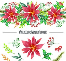 水彩绘冬季植物和花边矢量图