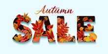 创意树叶装饰秋季销售艺术字图矢量图