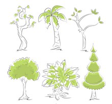 6款手绘绿色树木矢量图片