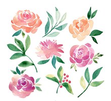 9款水彩绘花卉和叶子图矢量图片
