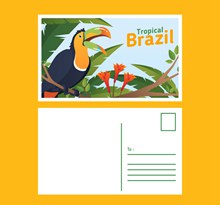 创意巴西巨嘴鸟明信片正反面图矢量