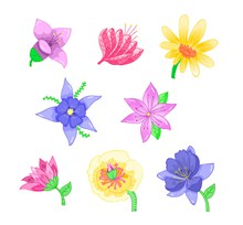 8款水彩绘花朵设计图矢量图下载