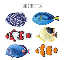 6款水彩绘鱼类设计矢量图
