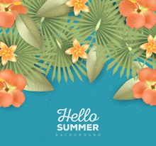 创意夏季橙色鸡蛋花和扶桑花矢量图片