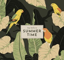 复古手绘夏季鹦鹉和叶子矢量图片