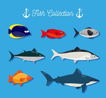 7款创意海洋鱼类设计图矢量图片