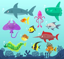 12只彩色大海中的海洋动物矢量图片