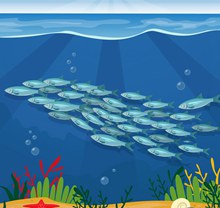 美丽海底银色鱼群矢量图片