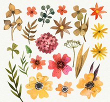 22款水彩绘花卉和叶子图矢量下载