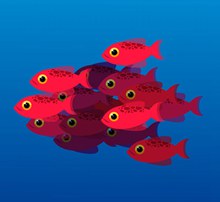 红色鱼群设计矢量图片