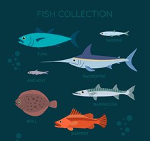 7款彩色海洋鱼类设计矢量图下载
