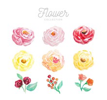 9款水彩绘花朵设计矢量素材