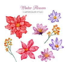8款水彩绘冬季花朵矢量下载