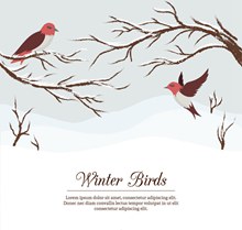 彩绘冬季树枝和鸟矢量
