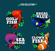 4款彩色带名字的鱼类矢量图片