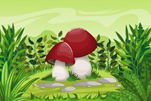 卡通郊外草地里的蘑菇矢量图下载