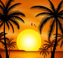 美丽夕阳下的大海沙滩风景图矢量图片