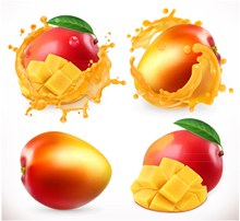 4款美味芒果和芒果汁设计图矢量下载