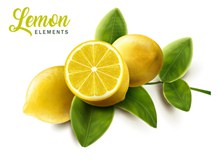 新鲜带叶柠檬设计图矢量图片