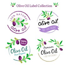 4款水彩绘橄榄油标签矢量图片