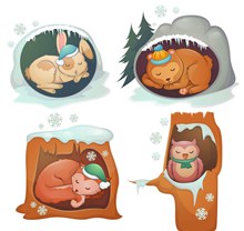 4款卡通冬眠动物矢量图