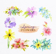 8款水彩绘春季花卉矢量下载